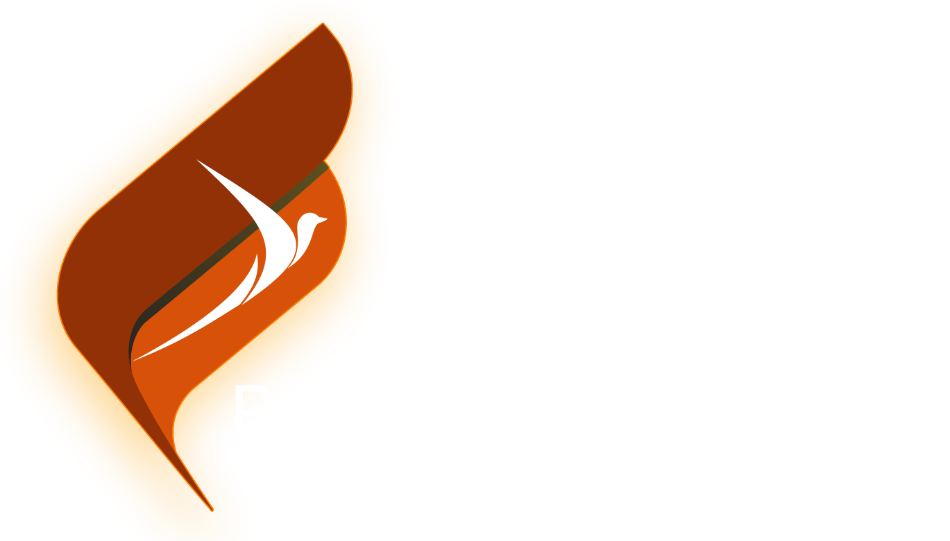Transform your manuscript with leading self publishers