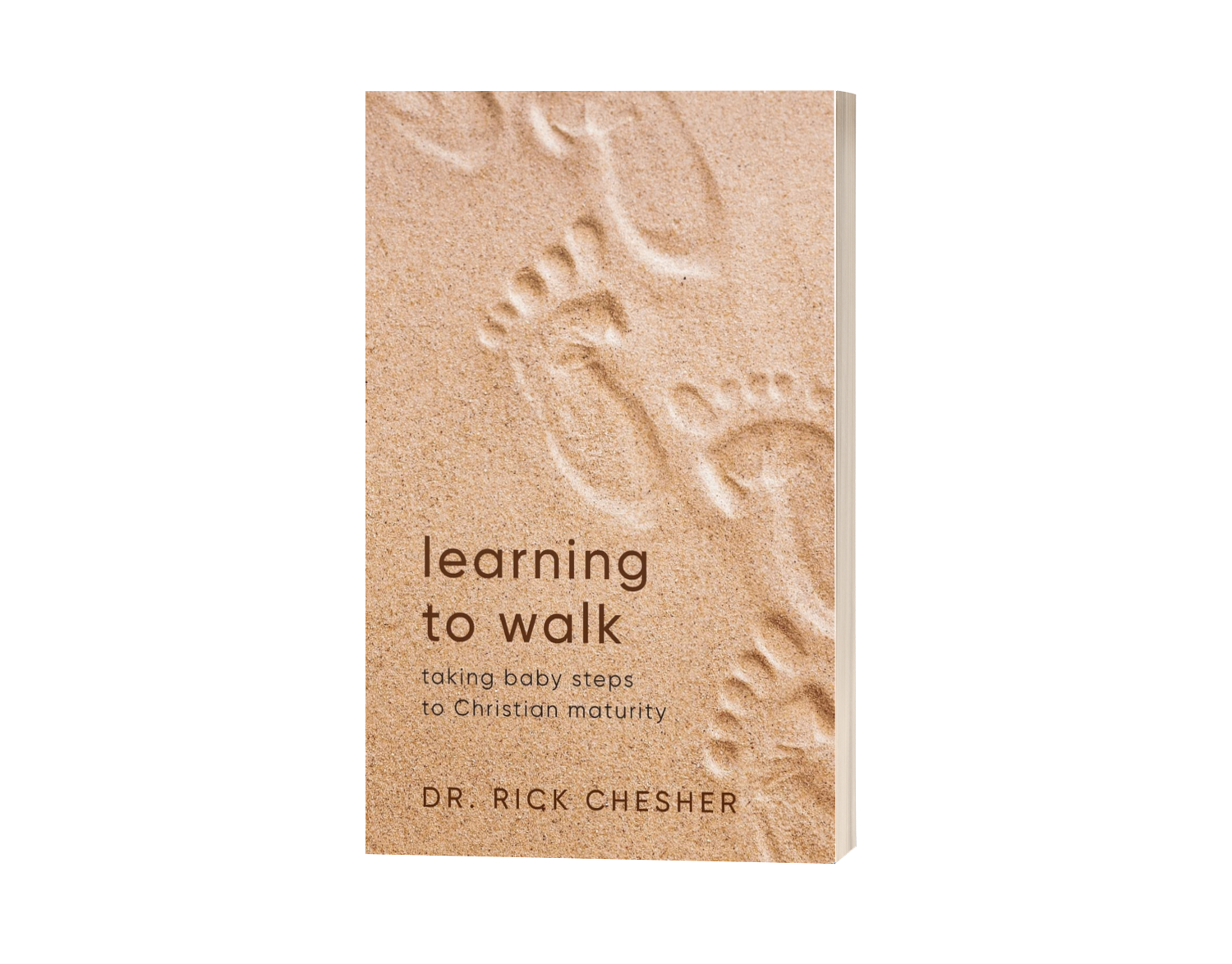 Dr Rick Chesher s 106 page Book Invites Readers On A Profound